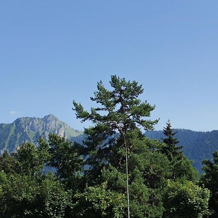 Heidi Apartment Leysin Bagian luar foto